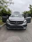 A picture of 2017 foreign used gle43