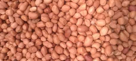 A picture of Groundnuts 08031545093 for more enquiries