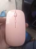 A picture of Mouse
