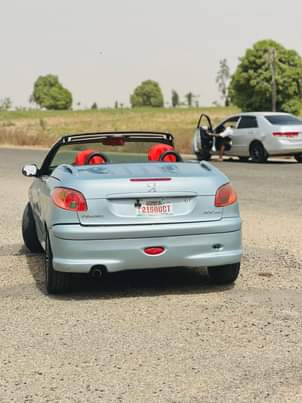 A picture of Peugeot 206 Convertible