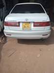 A picture of On sale premio super on sale 12 5m 0758359409 0785650232