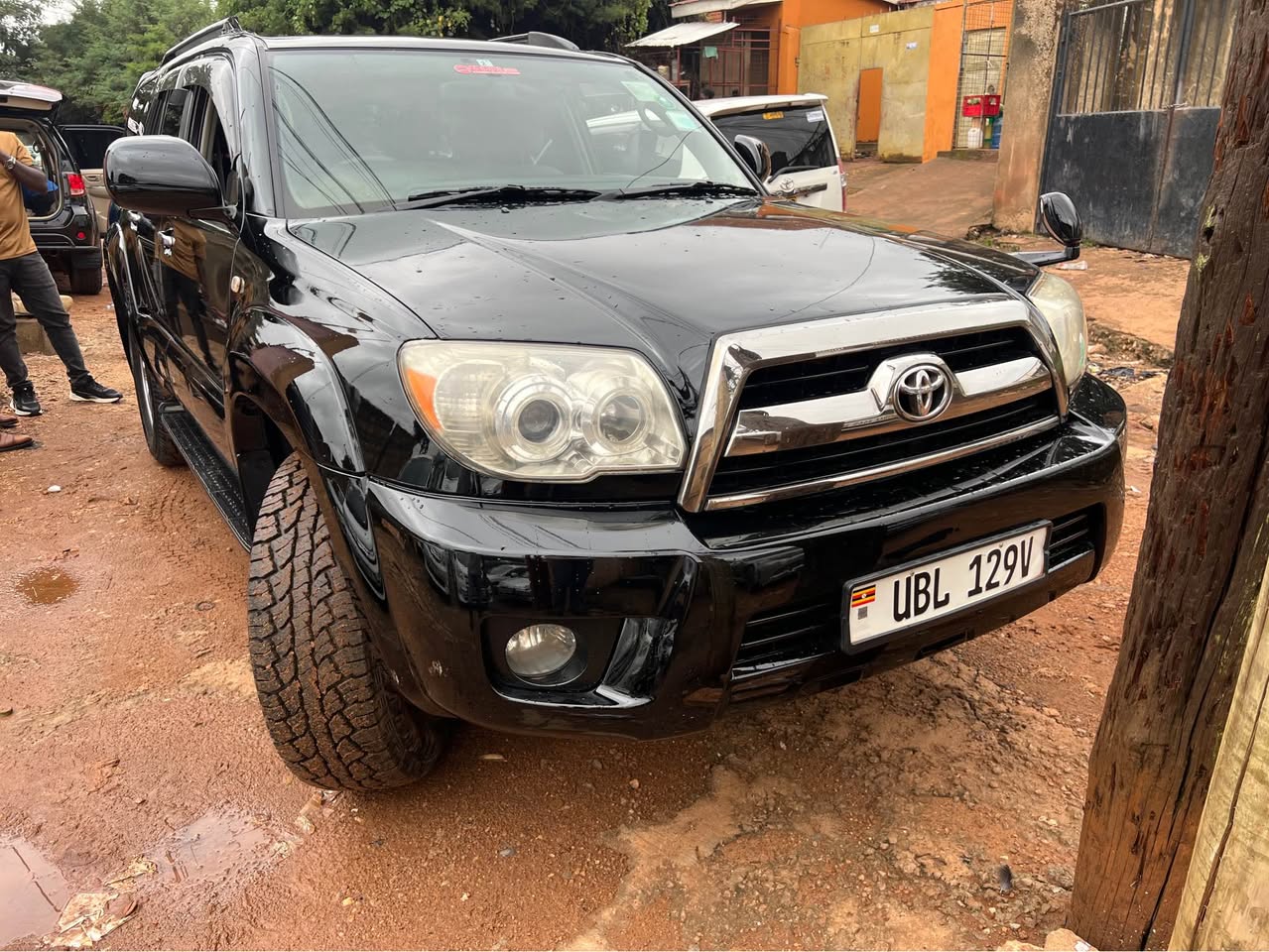 toyota surf