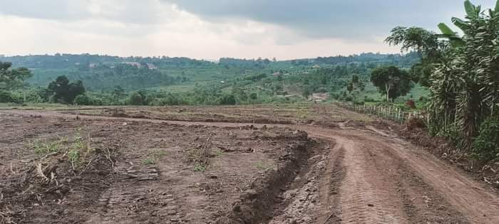 A picture of PLOTS FOR SALE LOCATED WAKISO NAMAYUMBA