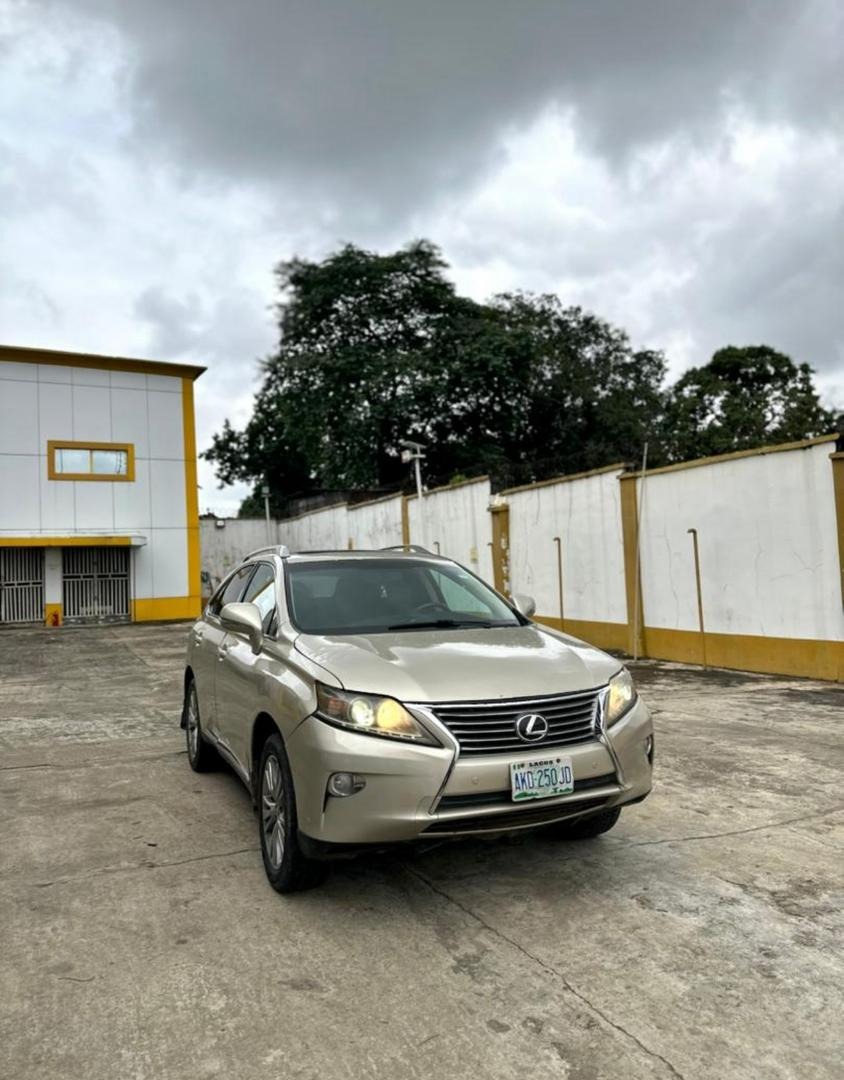 A picture of Rx350 013 model
