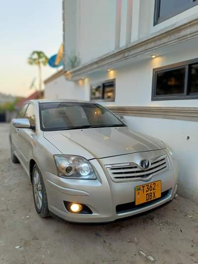 A picture of Gari ya aina avensis