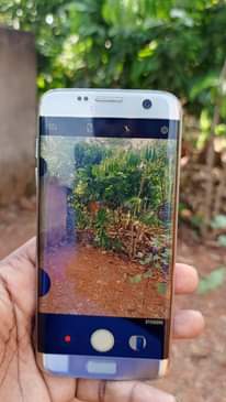 A picture of Samsung S7 edge