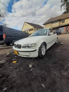 classifieds/cars bmw