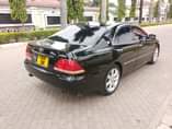 A picture of CROWN ATHLETE DUE BEI MILION 13 IPO MWANZA CM 0693743051