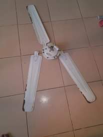 A picture of Dishi feni printer