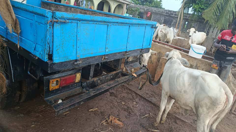 A picture of Nissan cabster 08123451380