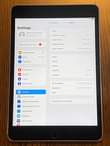 A picture of iPad Mini 4