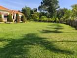 A picture of A beautiful house fr sale in Gayaza Kiwenda on 2