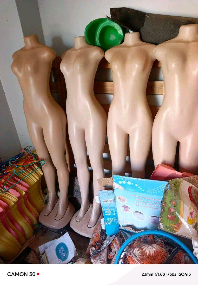 A picture of New Dummies