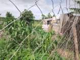 A picture of SHAMBA HEKA 15 LINAUZWA LIMELIMWA NA MAZAO YA KUDUMU LIPO
