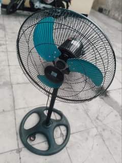 fans