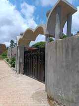 A picture of Mukono kiyunga posh house on quick sale