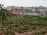 A picture of  Walle plate house on sale 48m located at Gayaza