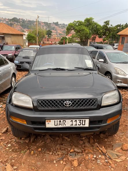 A picture of Rav4