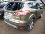 A picture of  2013 FORD ESCAPE 