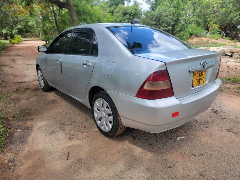 toyota corolla bubble