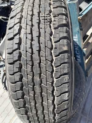 AUTO F.