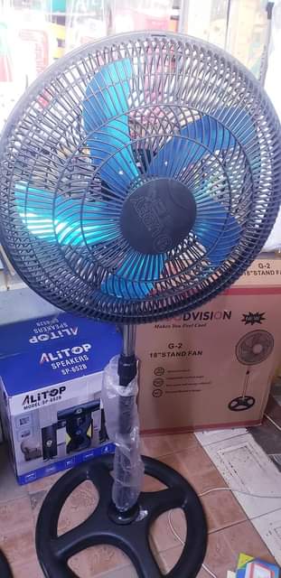 A picture of Fan