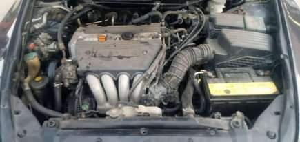 A picture of DISTRESS HONDA DC Full options