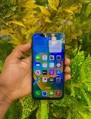 A picture of iPhone X