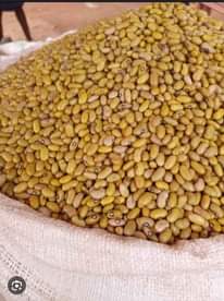 A picture of Whole sale produce