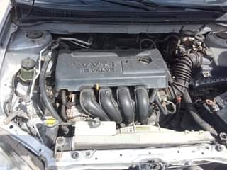 A picture of 2008 Toyota Corolla