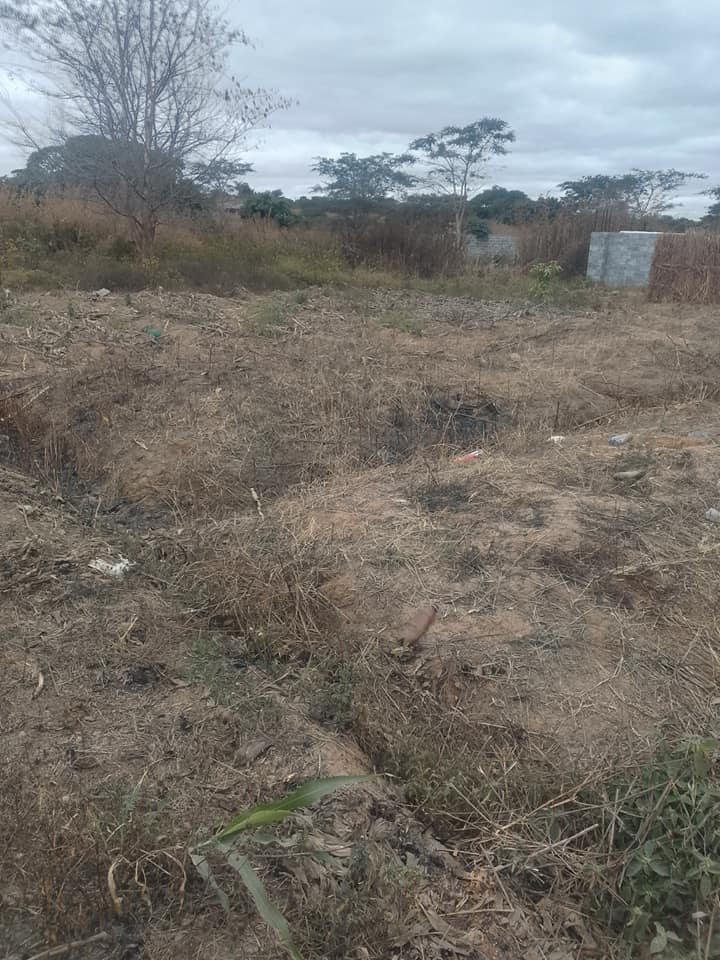 zambia plots
