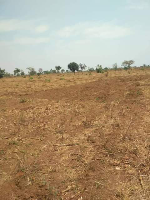 land