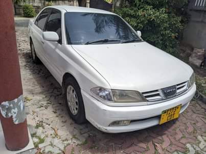A picture of Vitz
