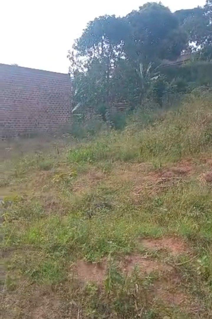 plots mukono