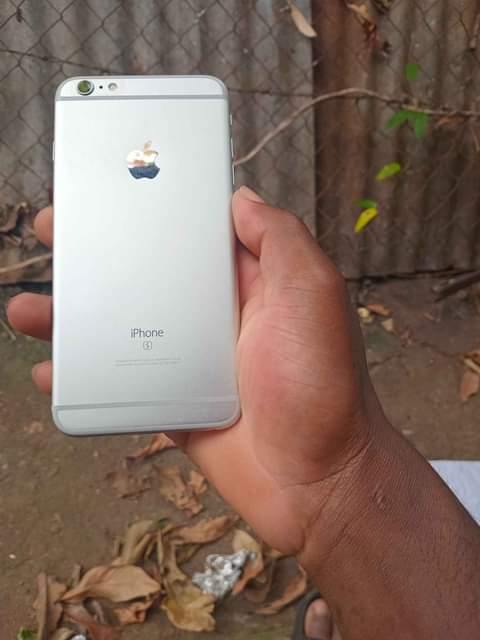 iphones 6