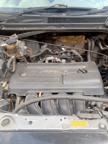 A picture of Rav 4