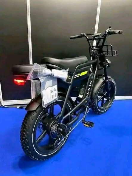 A picture of ELECTRIC BIKE FOR LIPA MDOGO MDOGO