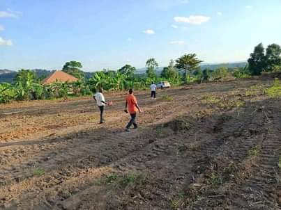 houses matugga