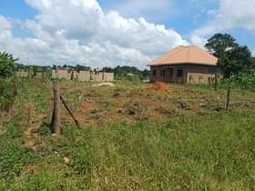 A picture of Cheap plot in a very strategic area Kitungwa Bombo road