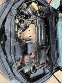 A picture of Muscle sport 07 Location Akure 08163844872