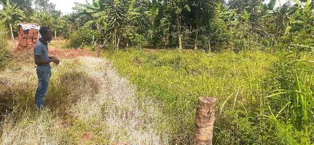 A picture of PLOT FOR SALE on agreement