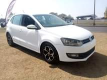 Sipho T.