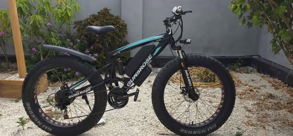 A picture of Electric Bike Guns Roses