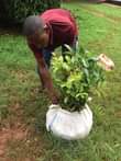 A picture of Miche ya matunda ya mda mfupi