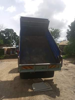 A picture of Nauza Fuso Tiper naFuso Tamdamu