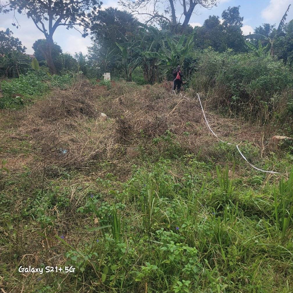 uganda plots