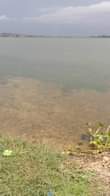 A picture of 1 acre with lake view in prime area for sale