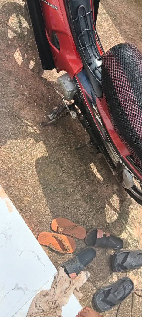 A picture of 2021 Lady s bike lafan bike