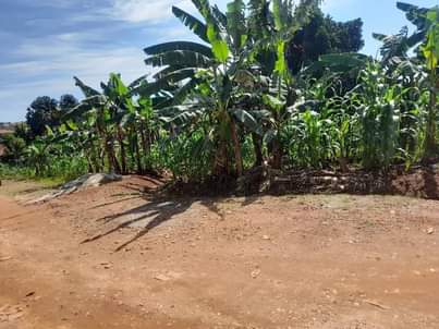 A picture of One acre for sale Namugongo Sonde ministers village private mailo