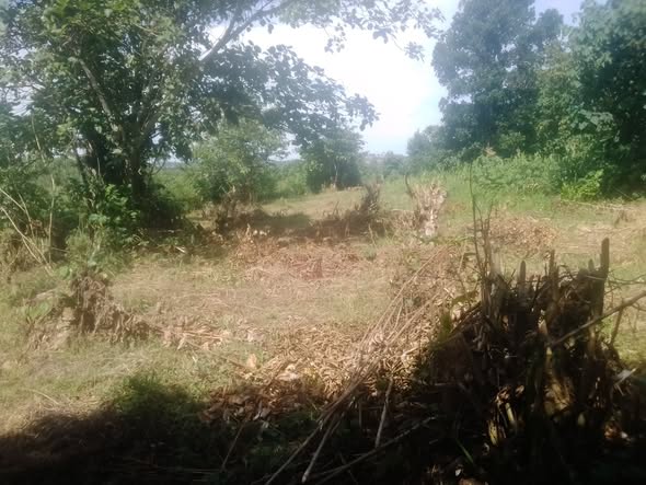 A picture of 33 acres of cammercial land along Kasayi Road in Bukerere